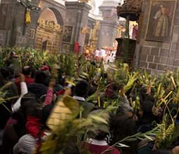 Celebración del Domingo de Ramos en el Cusco